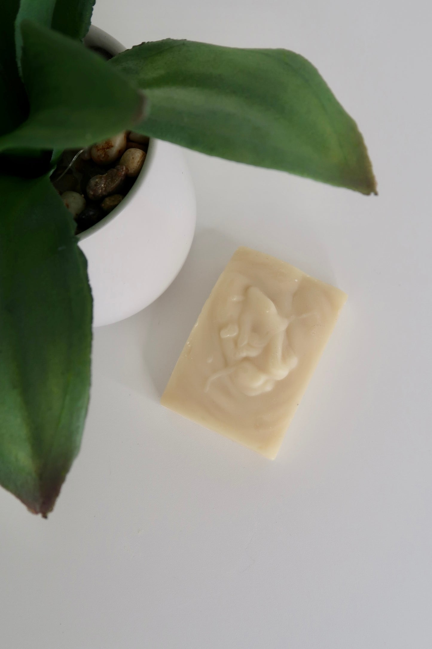 Goat Milk Bar