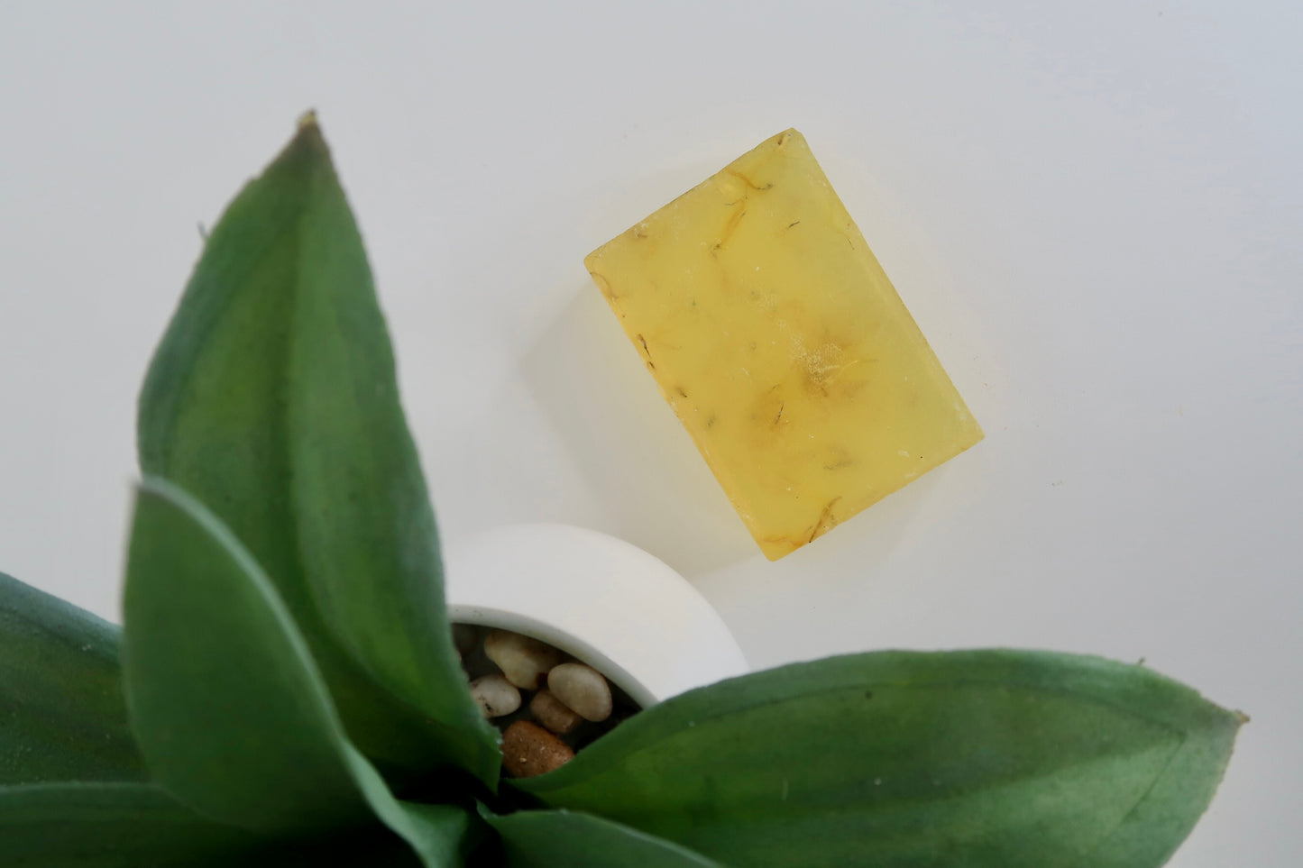 Calendula and Jojoba Oil bar